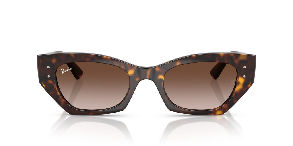 Ray-Ban | 0RB4430