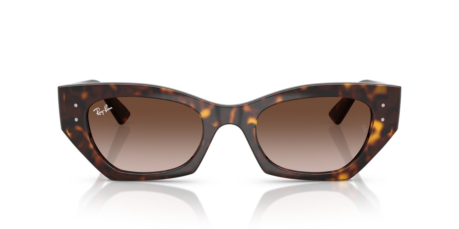 Ray-Ban | 0RB4430