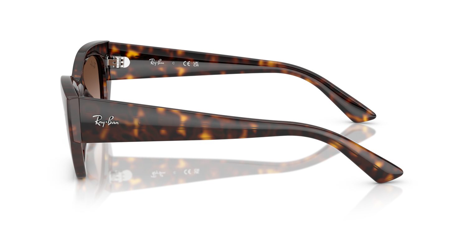 Ray-Ban | 0RB4430