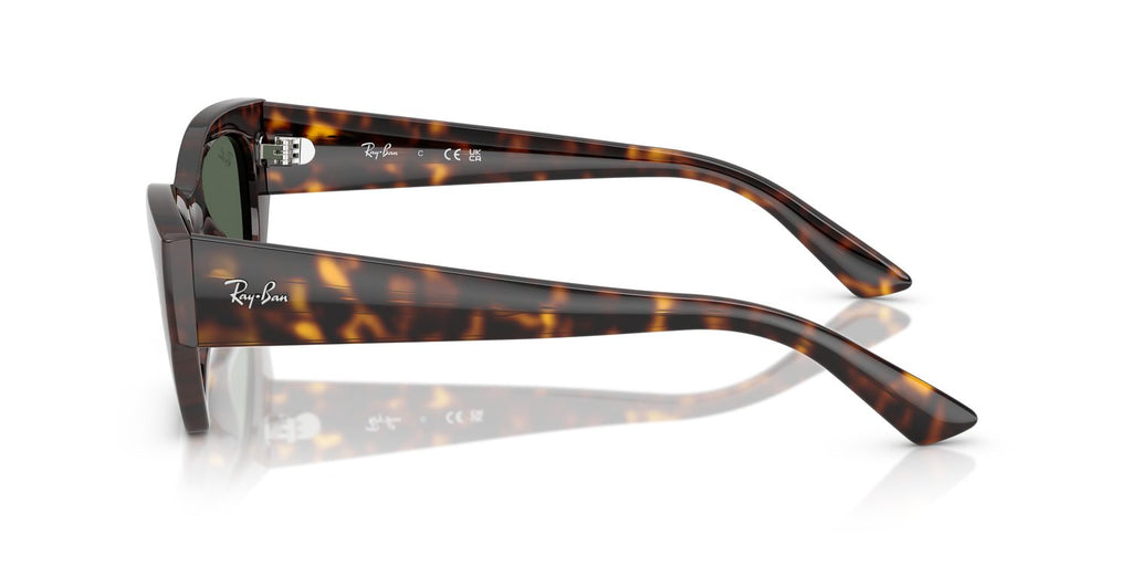Ray-Ban | 0RB4430