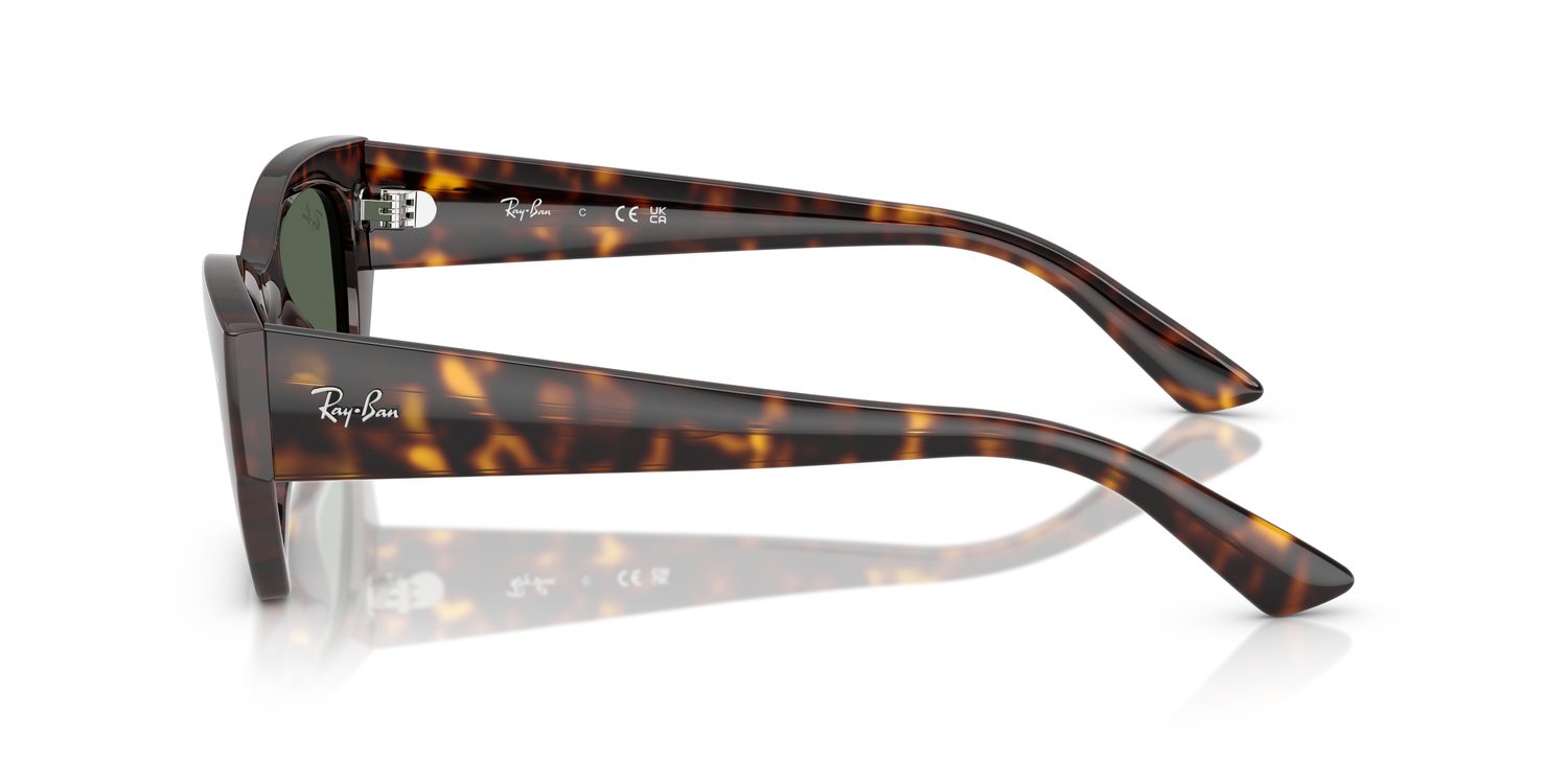 Ray-Ban | 0RB4430
