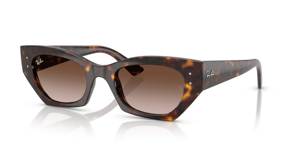 Ray-Ban | 0RB4430