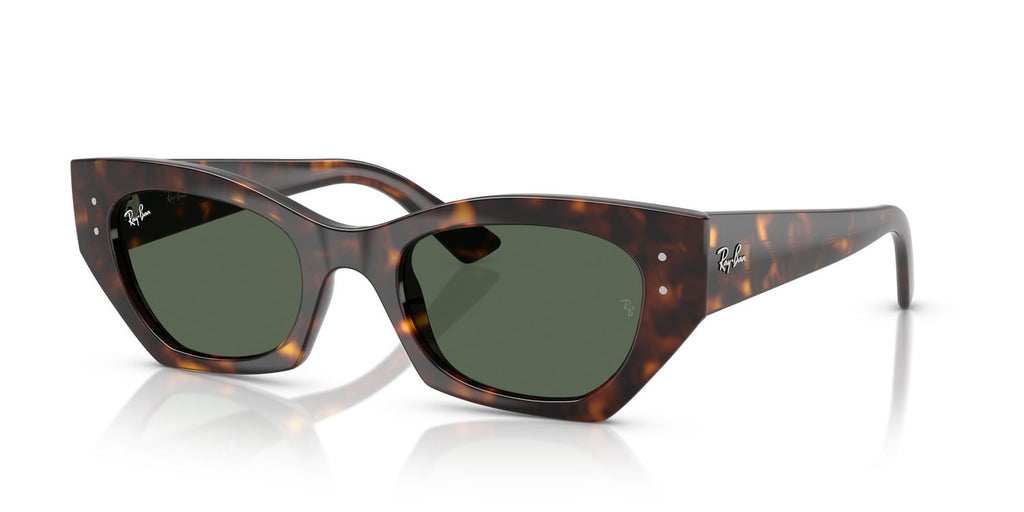 Ray-Ban | 0RB4430