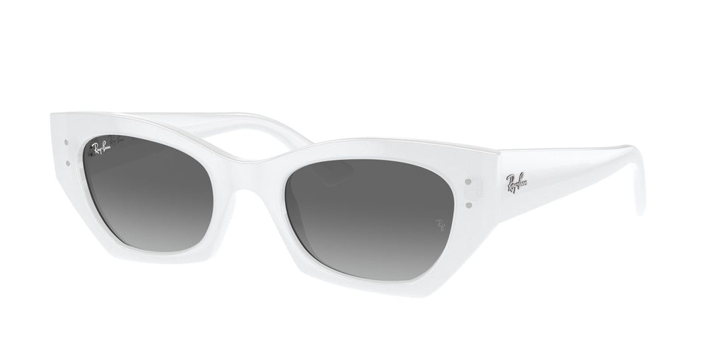 Ray-Ban | 0RB4430