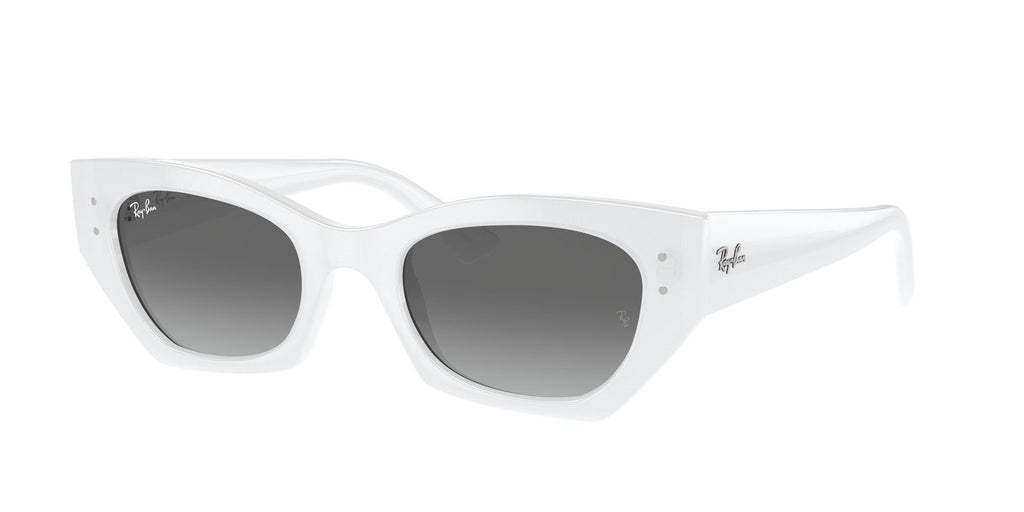 Ray-Ban | 0RB4430