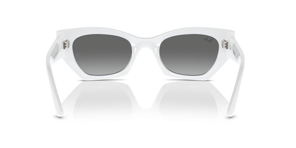 Ray-Ban | 0RB4430