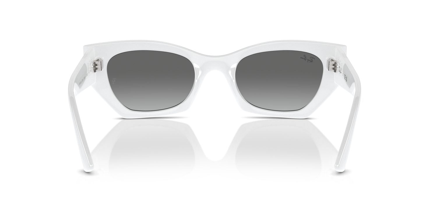 Ray-Ban | 0RB4430