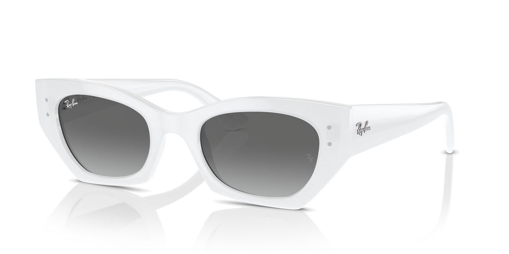 Ray-Ban | 0RB4430