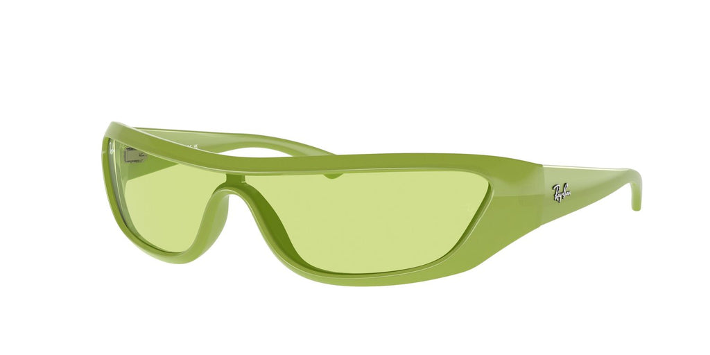 Ray-Ban | 0RB4431