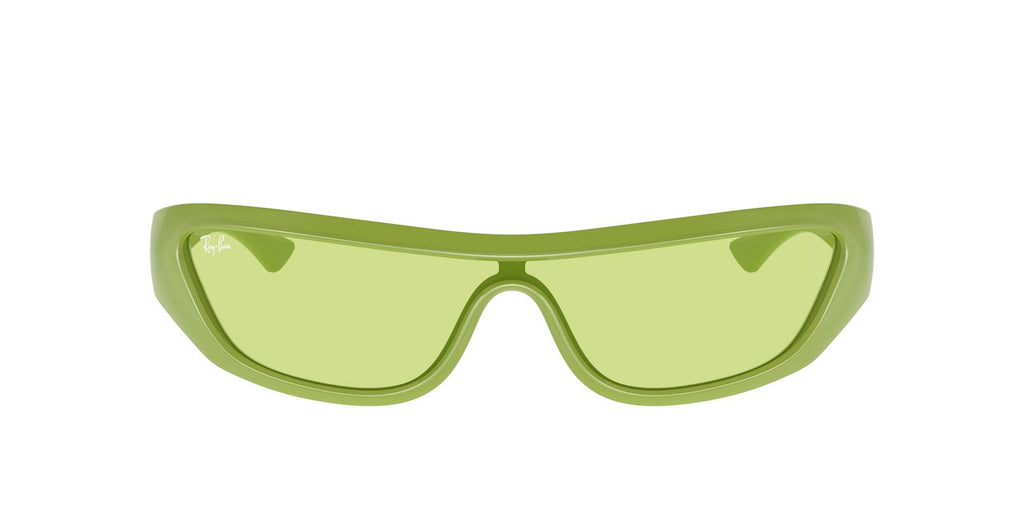 Ray-Ban | 0RB4431