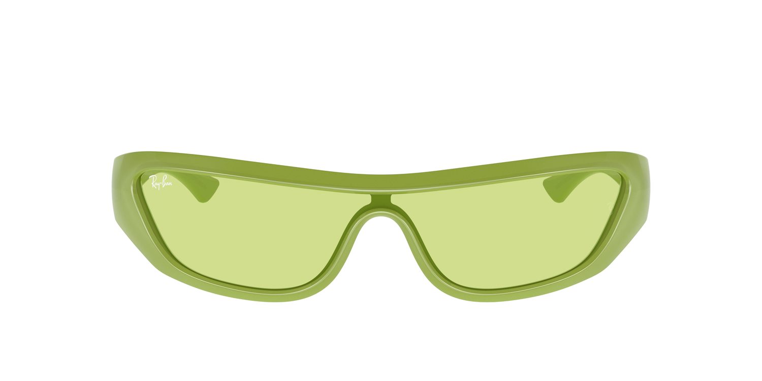 Ray-Ban | 0RB4431