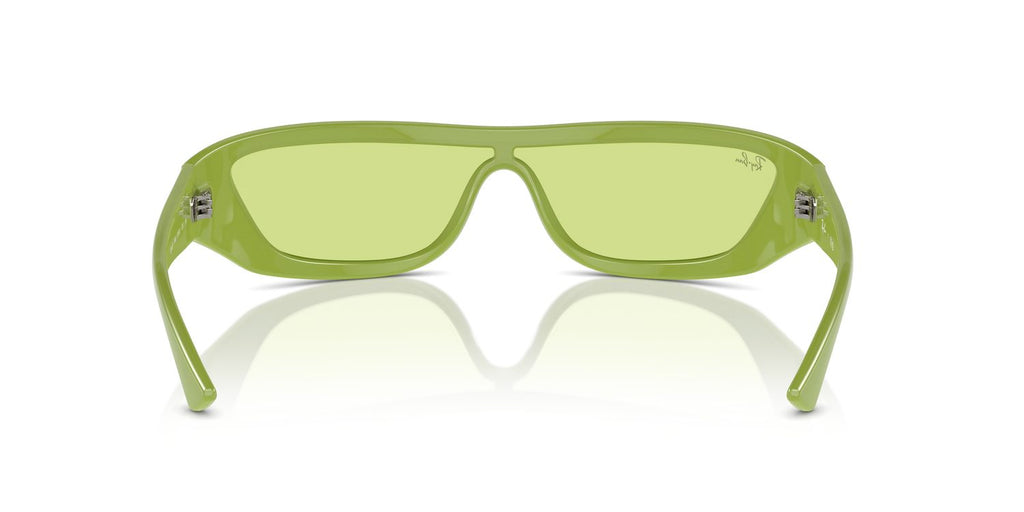 Ray-Ban | 0RB4431