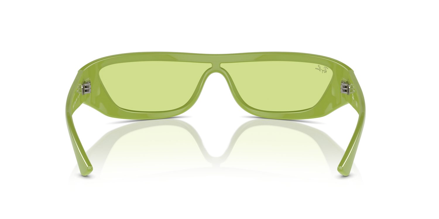 Ray-Ban | 0RB4431