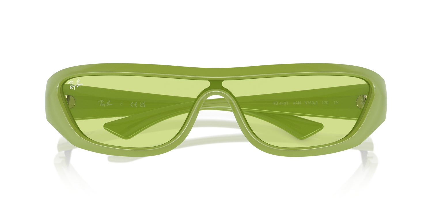 Ray-Ban | 0RB4431