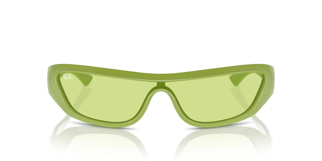 Ray-Ban | 0RB4431