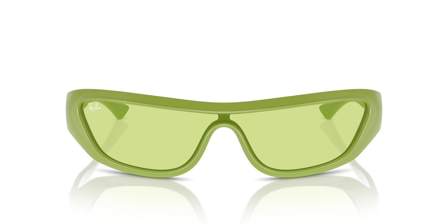Ray-Ban | 0RB4431