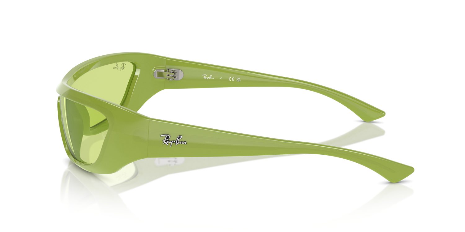 Ray-Ban | 0RB4431