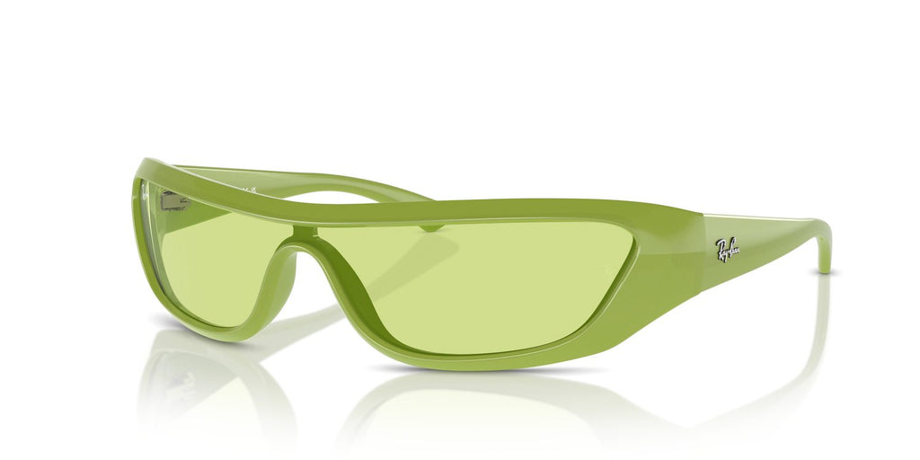 Ray-Ban | 0RB4431