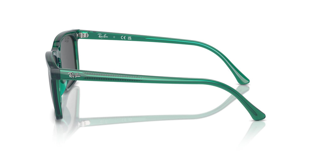 Ray-Ban | 0RB4435