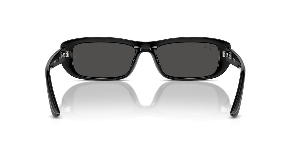 Ray-Ban | 0RB4436D
