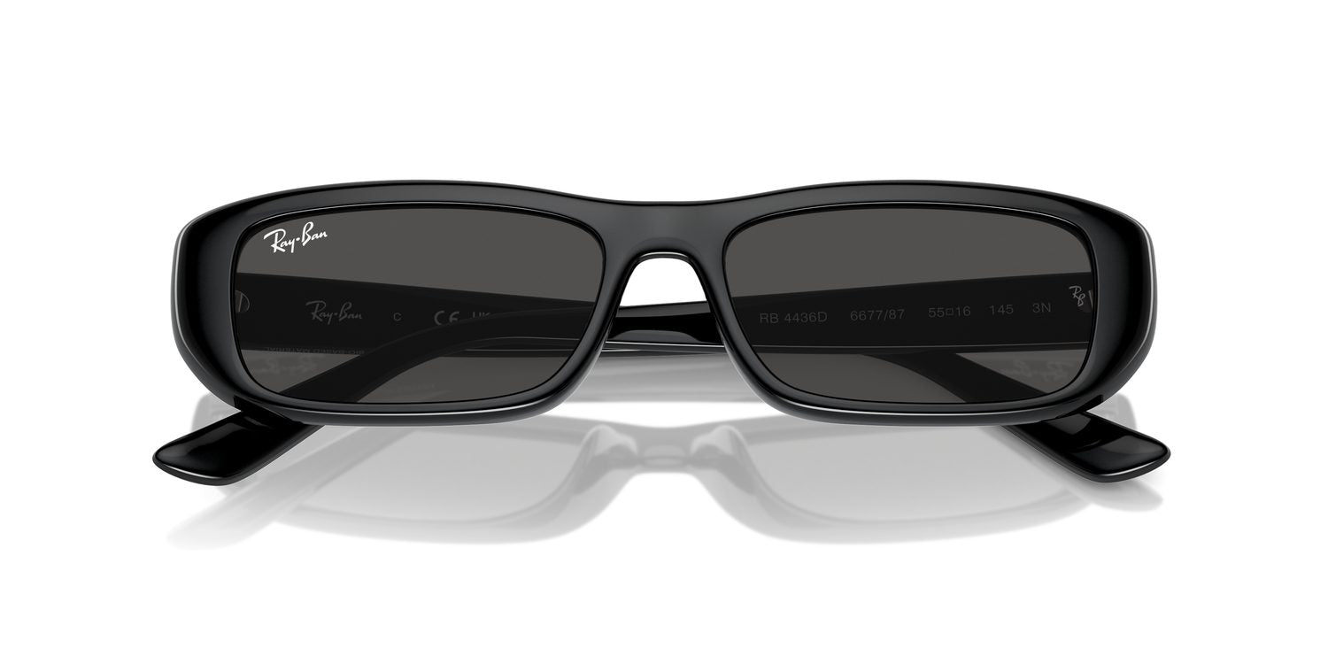 Ray-Ban | 0RB4436D