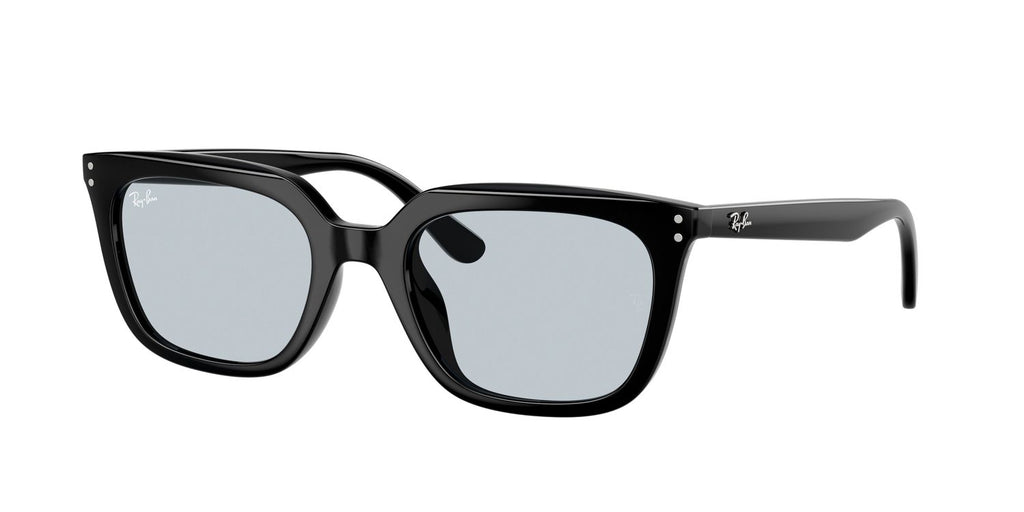 Ray-Ban | 0RB4439D