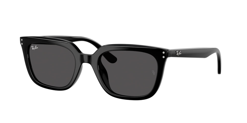Ray-Ban | 0RB4439D