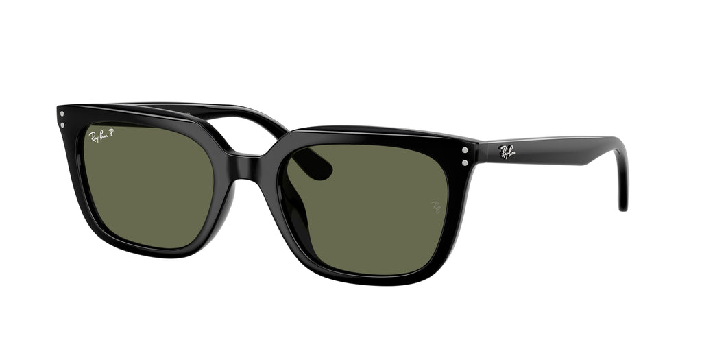 Ray-Ban | 0RB4439D