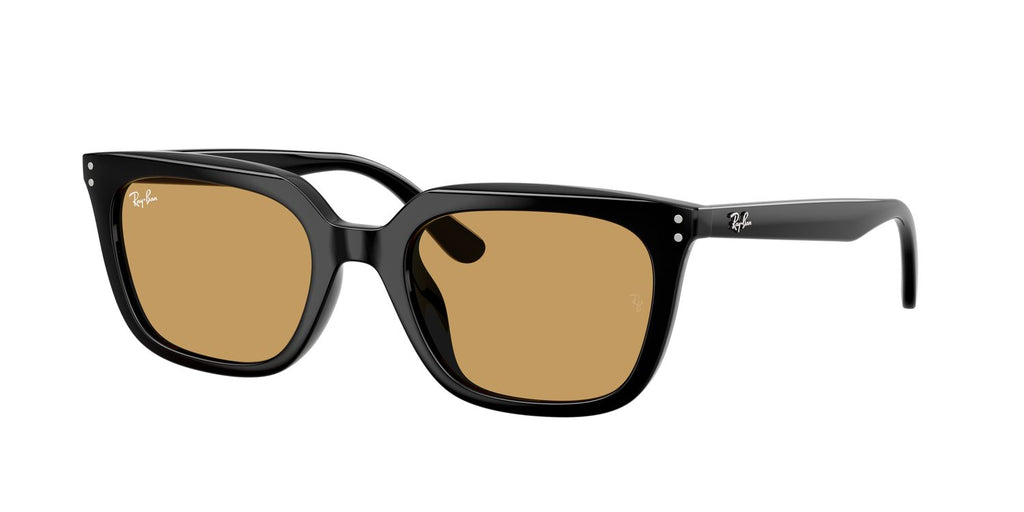 Ray-Ban | 0RB4439D