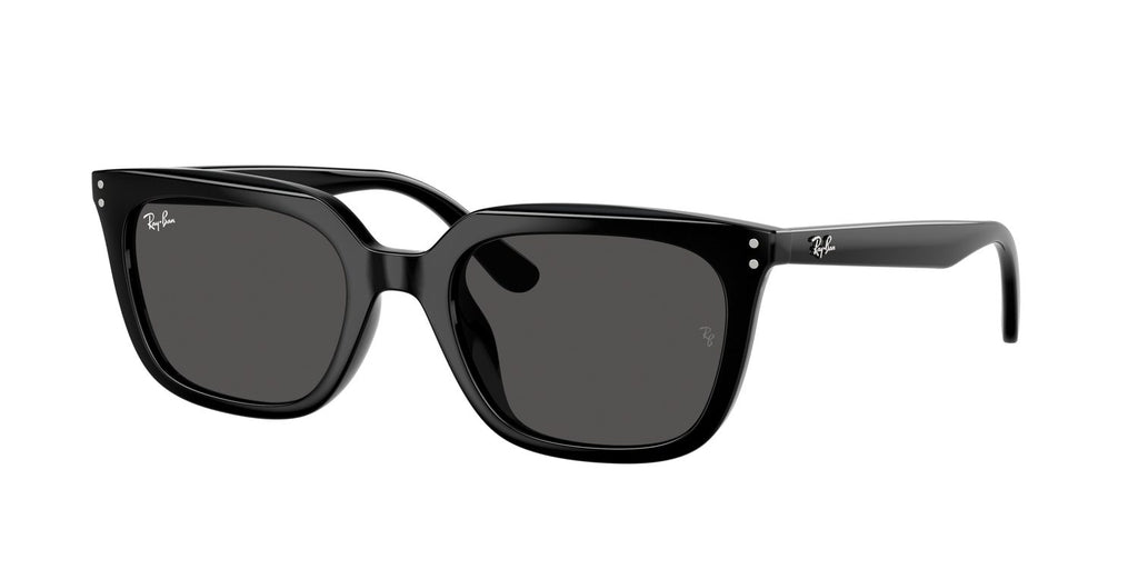 Ray-Ban | 0RB4439D