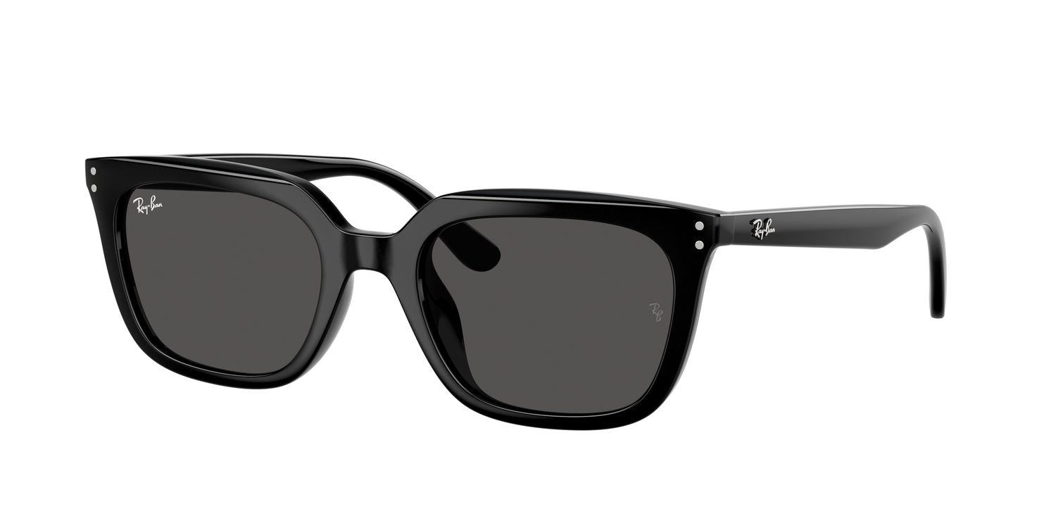 Ray-Ban | 0RB4439D