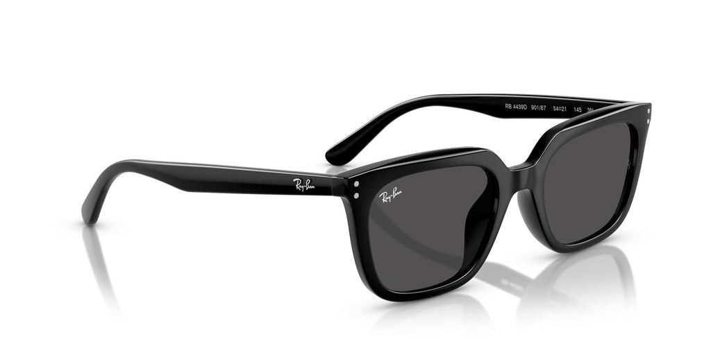 Ray-Ban | 0RB4439D