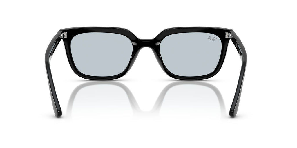 Ray-Ban | 0RB4439D