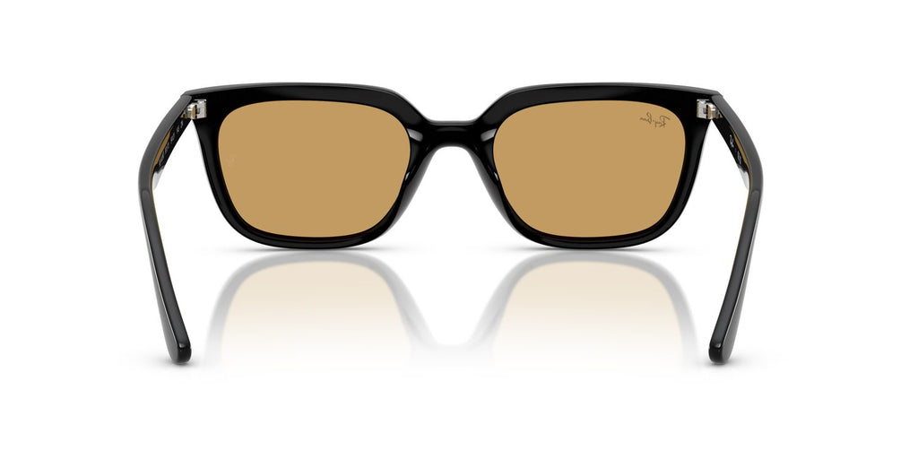 Ray-Ban | 0RB4439D