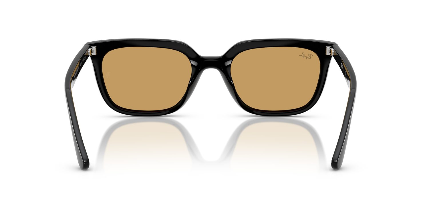 Ray-Ban | 0RB4439D
