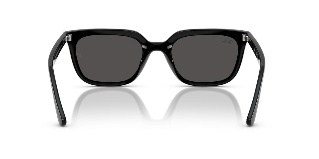 Ray-Ban | 0RB4439D
