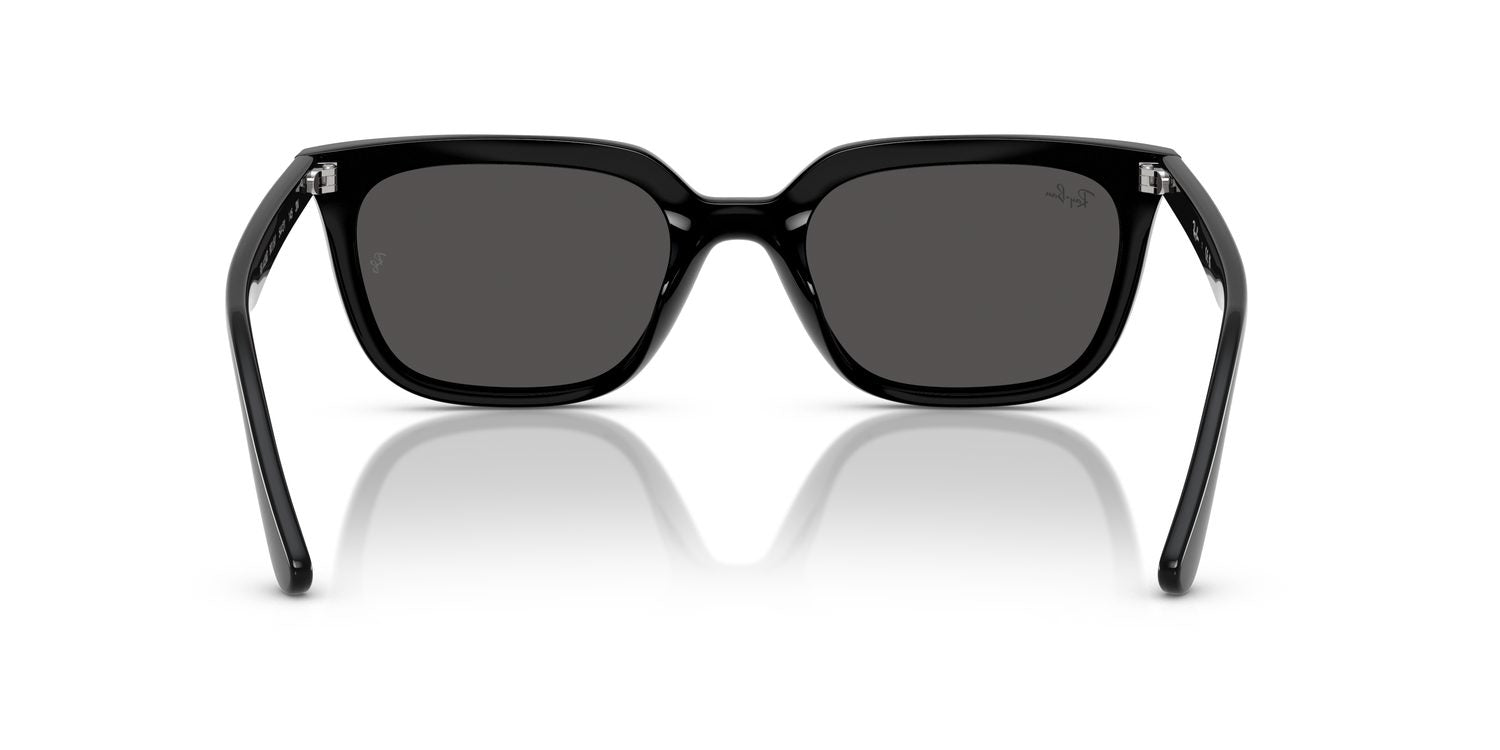 Ray-Ban | 0RB4439D