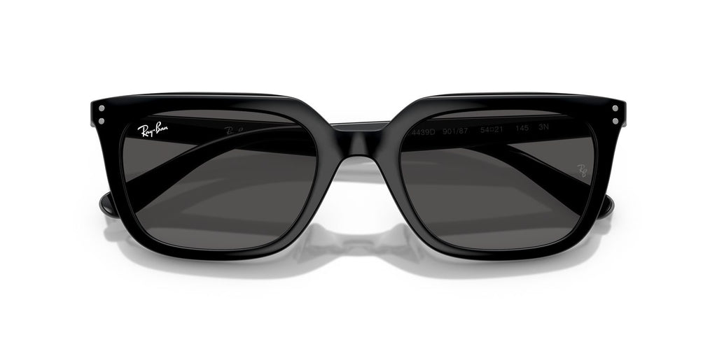 Ray-Ban | 0RB4439D