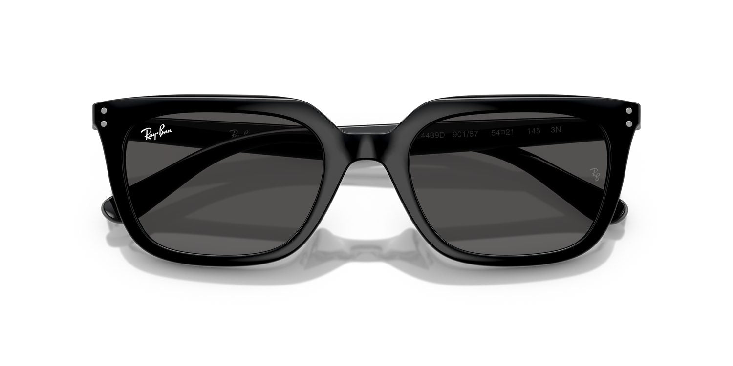 Ray-Ban | 0RB4439D