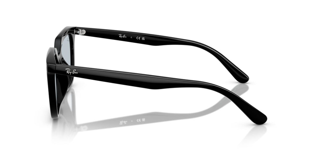 Ray-Ban | 0RB4439D