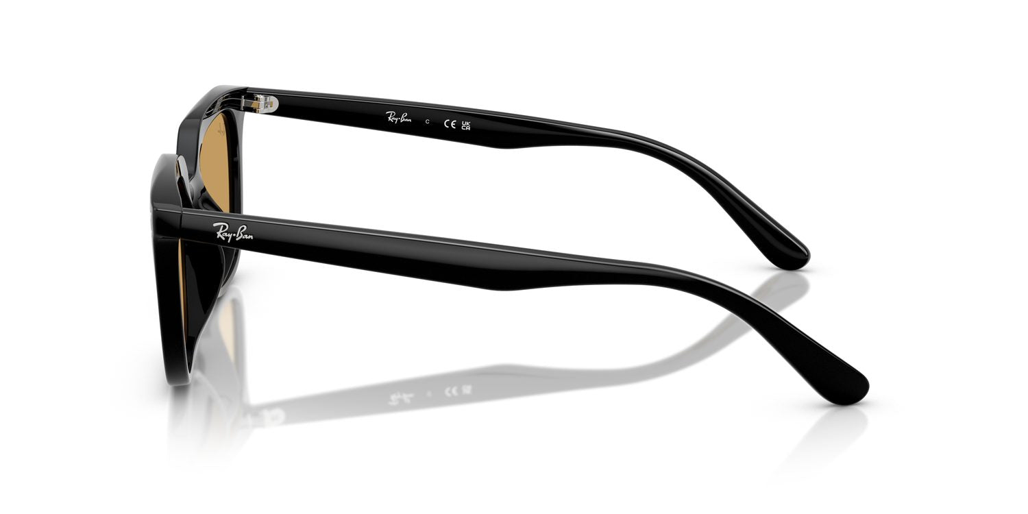 Ray-Ban | 0RB4439D