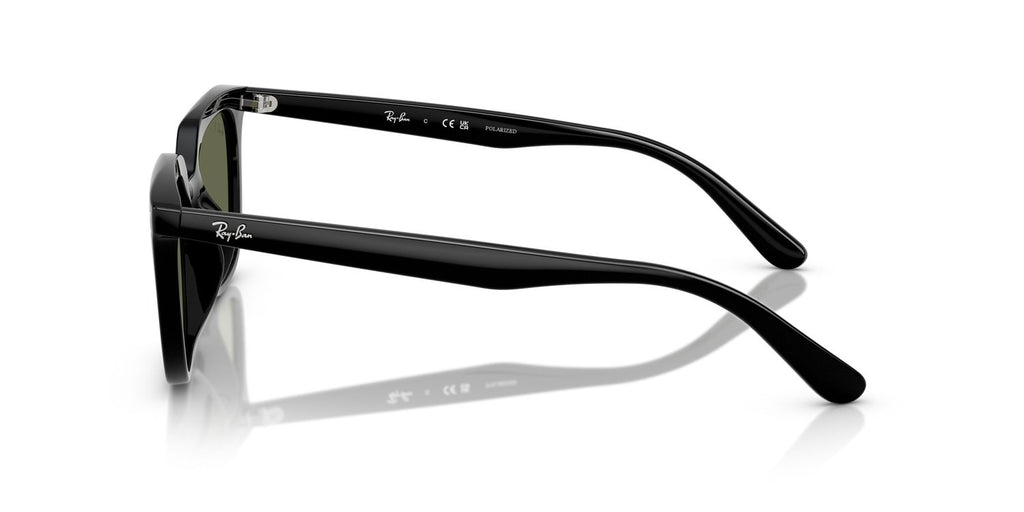 Ray-Ban | 0RB4439D
