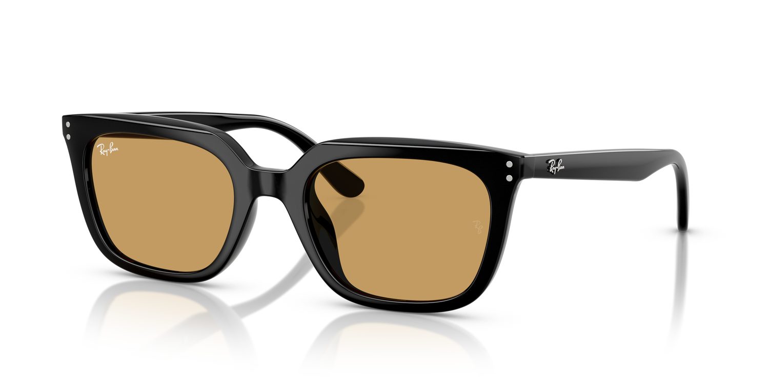 Ray-Ban | 0RB4439D