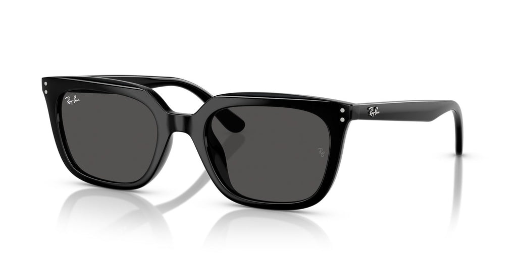 Ray-Ban | 0RB4439D