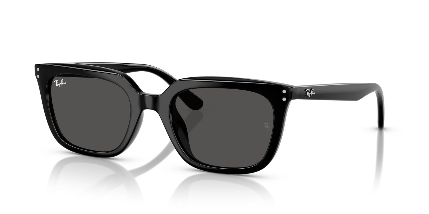 Ray-Ban | 0RB4439D