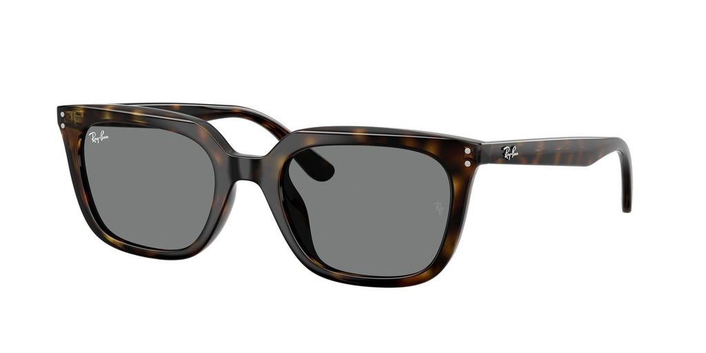 Ray-Ban | 0RB4439D