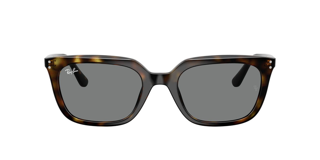 Ray-Ban | 0RB4439D