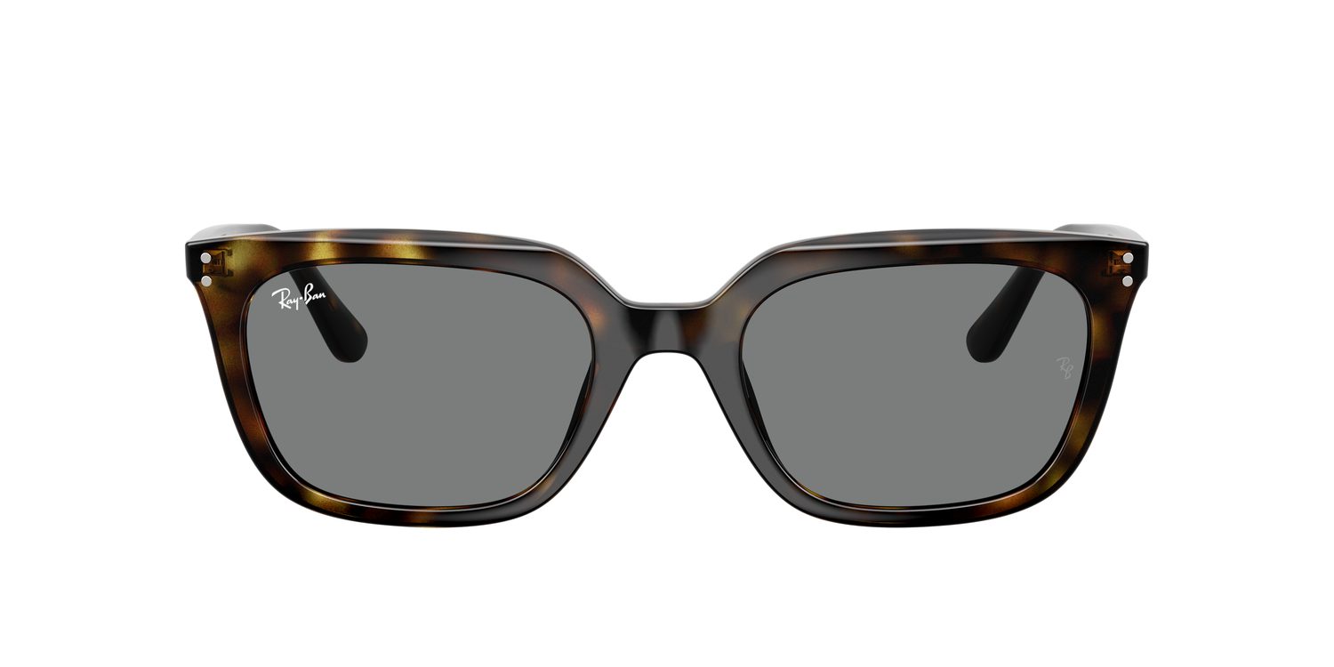 Ray-Ban | 0RB4439D