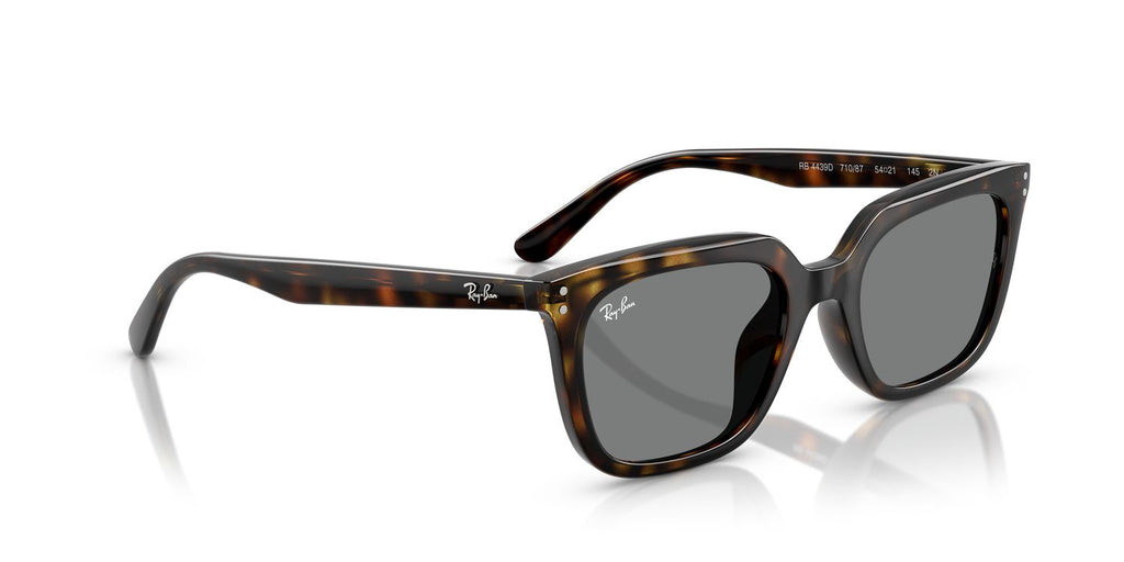 Ray-Ban | 0RB4439D