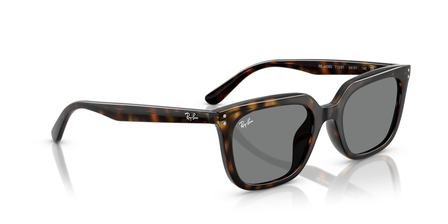 Ray-Ban | 0RB4439D
